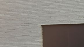 Lexus RX 450h+ Luxury