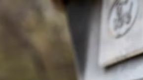 Llega la poderosa Ford Explorer Tremor 2026