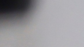 Manifestante murió tras recibir un disparo durante una protesta contra el presidente Donald Trump en Salt Lake City,