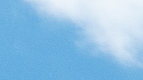 Los secretos de Sam's Club: 5 datos que te dejarán sin palabras