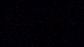 La Policía de Sunrise confirmó que arrestó al sospechoso y abrió una investigación por el violento ataque.