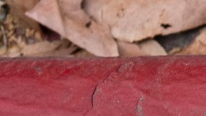 Lucrecia Barajas falleció y fue encontrada el 12 de mayo en un campamento de personas sin hogar en LA.