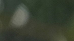 Una madre abraza a su hijo después de firmar un documento que le otorga a una defensora de inmigración en Miami la tutela legal de él si ICE la detiene o la deporta.