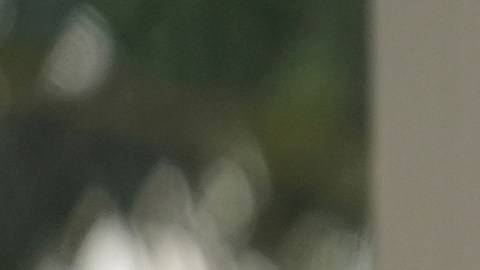 Una madre abraza a su hijo después de firmar un documento que le otorga a una defensora de inmigración en Miami la tutela legal de él si ICE la detiene o la deporta.