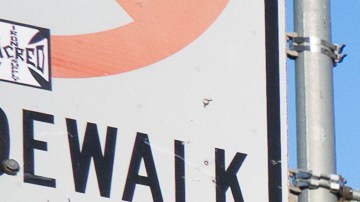 Un gran número de los manifestantes eran jóvenes.