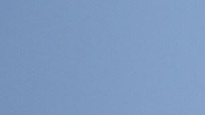 A protester waves a Mexico national flag on top of a car near the metropolitan detention center, Monday, June 9, 2025, in downtown Los Angeles. (AP Photo/Eric Thayer)