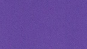 Marc Anthony y Nadia Ferreira