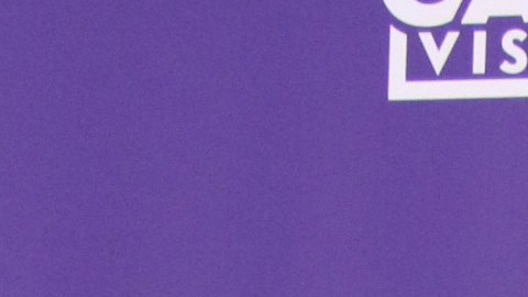 Marc Anthony y Nadia Ferreira