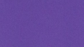 Marc Anthony y Nadia Ferreira