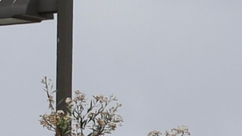 The entrance to Marine Corps base Camp Pendleton is seen Tuesday, Sept. 22, 2015, in Oceanside, Calif. (AP Photo/Gregory Bull)