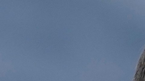 Los primeros pagos del impuesto sobre servicios digitales de Canadá estaban inicialmente previstos para el lunes.