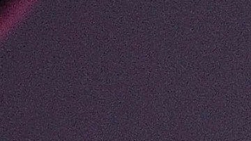 Martha Higareda anuncia su primer embarazo junto a Lewis Howes: “Lloré de alegría”