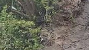 Matan a 5 policias en emboscada