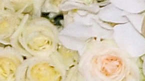 Michelle Salas abre su corazón y revela su lucha contra el melasma