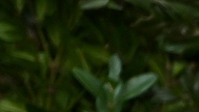 Miley Cyrus confiesa que ocultaba gastos en drogas como “ropa vintage”