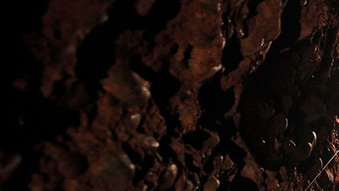 Narcotúnel