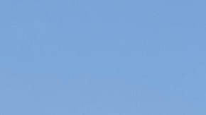 Redada federal de inmigración en planta de producción de carne de Omaha provocó protestas y pánico entre habitantes