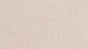 Nintendo espera poder superar la marca de 15 millones de unidades vendidas para mediados de marzo del próximo año