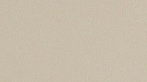 Noem se encuentra "alerta y recuperándose", declaró la subsecretaria del DHS, Tricia McLaughlin.