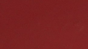 Pareja pelea premio de lotería