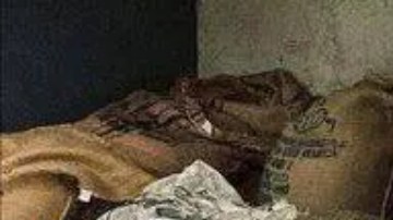 Parnia mostró una fuerte inclinación por la literatura y las artes desde que era adolescente.