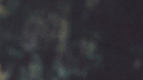 Este verano, la mexicana abrirá shows de Pepe Aguilar, el Mariachi Vargas y Los Ángeles Azules.