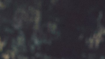 Este verano, la mexicana abrirá shows de Pepe Aguilar, el Mariachi Vargas y Los Ángeles Azules.