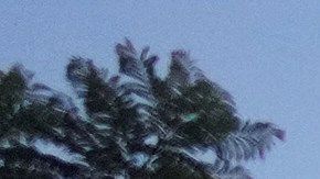 Police block a street during a protest on Tuesday, June 10, 2025, in Los Angeles. (AP Photo/Eric Thayer)