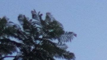 Police block a street during a protest on Tuesday, June 10, 2025, in Los Angeles. (AP Photo/Eric Thayer)