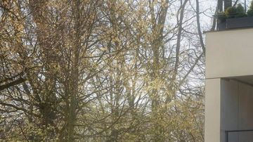 Polo Edition 50, así es el homenaje por sus cinco décadas