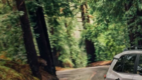 Probamos la Toyota RAV4 2026