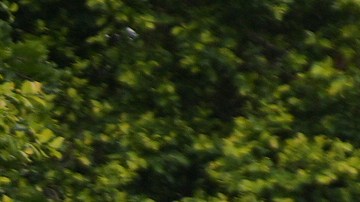 Protesters throw objects as law enforcement drive a van past during a protest in Paramount, Calif., Saturday, June 7, 2025, after federal immigration authorities conducted operations. (AP Photo/Eric Thayer)
