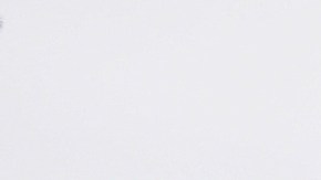 El DHS denunció las agresiones contra sus agentes durante las protestas por redadas de ICE en Los Ángeles.