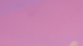 Rey Grupero y debuta en ‘Venga La Alegría, Fin de Semana’ entre polémica y apoyo