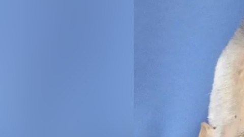 Richard Gerald Jordan