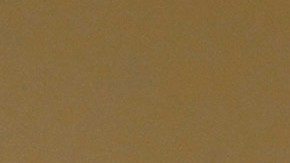 Rodney Scott ha sido un duro crítico de las políticas de inmigración de Joe Biden y ferviente seguidor de Trump.