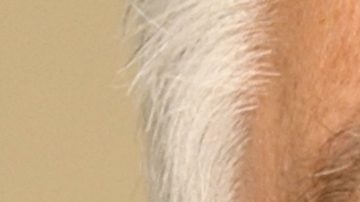 Retrato de Rolando "El Veloz" González, admirado cronista deportivo guatemalteco cuya muerte a los 82 años ha puesto de luto al fútbol local del sur de California.