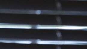 Rosa María Payá Acevedo, activista de origen cubano