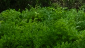 Dos oficiales del departamento de policía de Azusa rindieron sus respetos a Samuel Riveros en Baldwin Park.