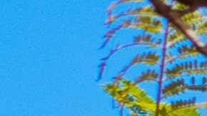 Sabores latinos le dan un toque único a esta bella comunidad en la región costera del estado de California.