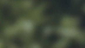 “Ya no somos solo una cosa”: Scarlett Johansson celebra la transformación del “nuevo Hollywood”