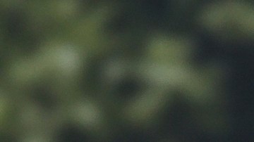 “Ya no somos solo una cosa”: Scarlett Johansson celebra la transformación del “nuevo Hollywood”