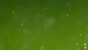 Publicación: May. 06 2025 Fotógrafo: Cortesía Lugar: N/D Formato: 1200 x 798 JPG Documento: 244.0 KB Folio: 2571211