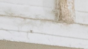 Se vende en Amazon y cuesta $9,999: la pequeña casa que llega en solo 4 semanas