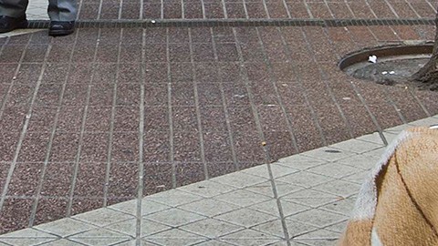 Silla de ruedas