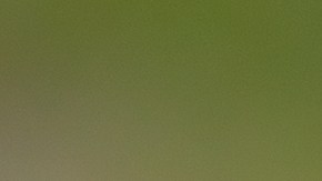 En el mercado existe una amplia variedad de smartwatchs para todos los gustos y necesidades