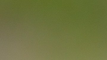 En el mercado existe una amplia variedad de smartwatchs para todos los gustos y necesidades