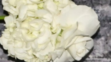 Straw: La película de Netflix que se rodó en 4 días y ya es un fenómeno global