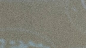 La portavoz del Departamento de Estado, Tammy Bruce insistió a los ciudadanos estadounidenses que no deben viajar a Israel o Irán.