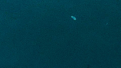 Los dos hombres evitaron la prisión, pero se les ordenó pagar $3,343.72.